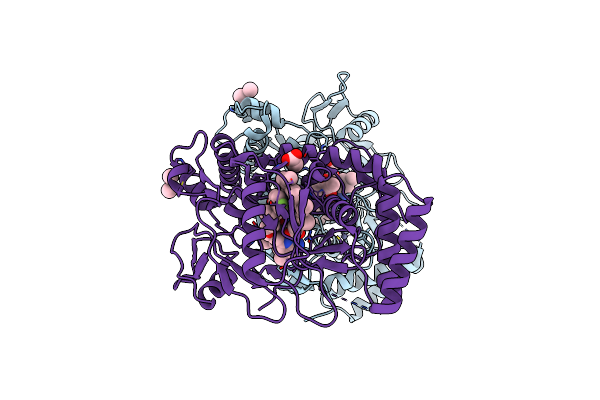 3RQP image