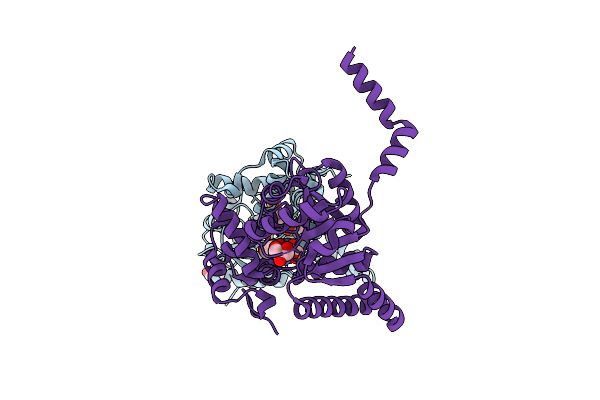 3RQS image
