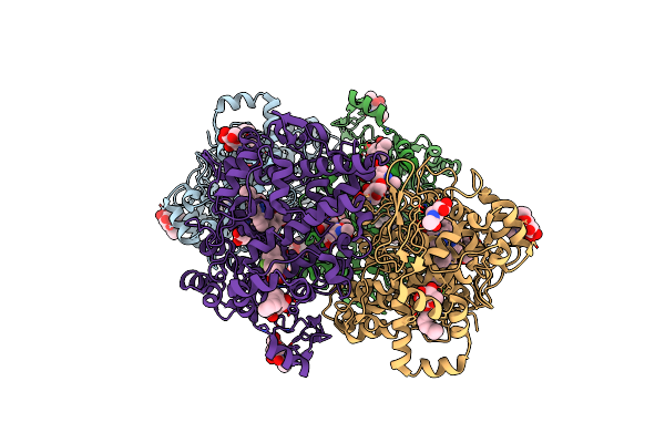 3RR3 image