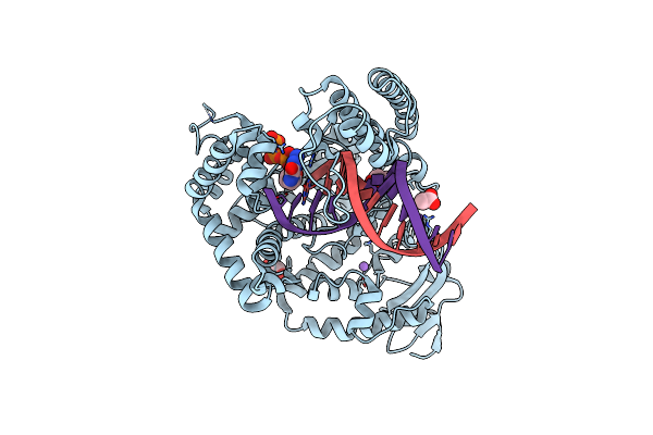 3RRG image