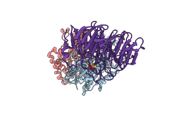 3RRM image