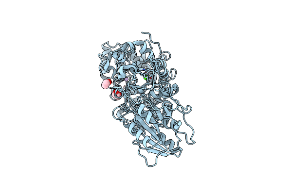 3RRX image