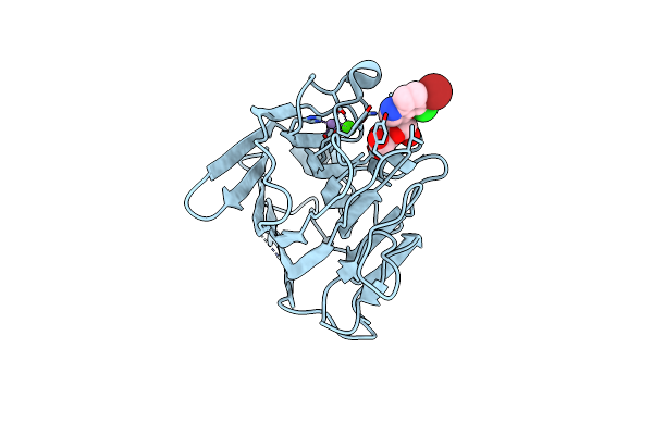 3RS6 image