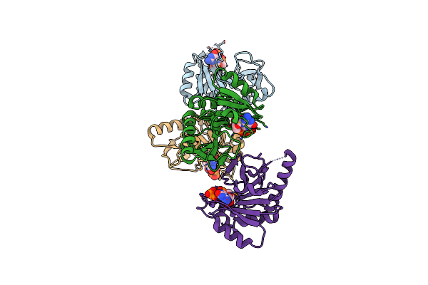 3RSB image