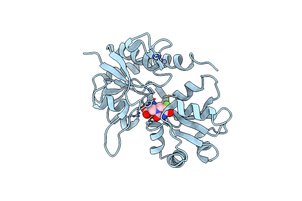 3RT6 image