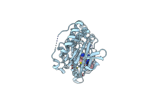 3RTP image