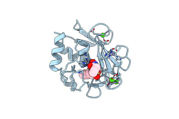 3RTT image
