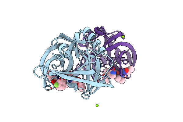 3RUO image