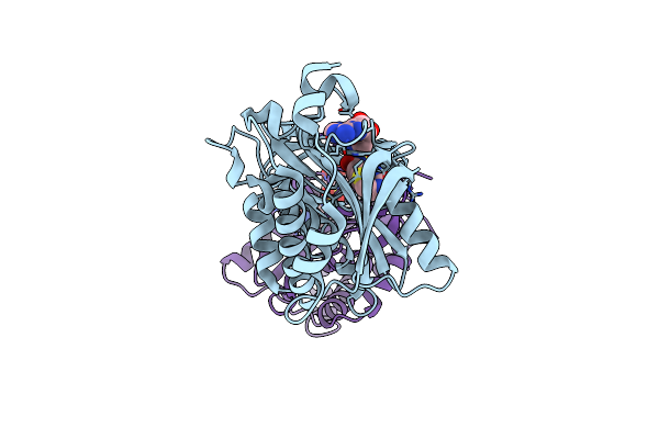 3RUX image