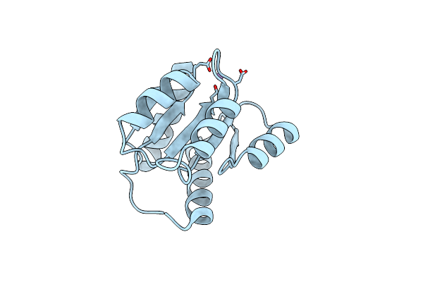 3RVK image