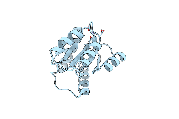 3RVM image