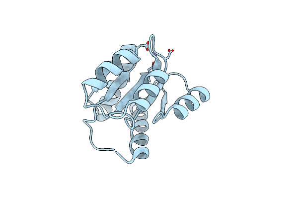 3RVO image