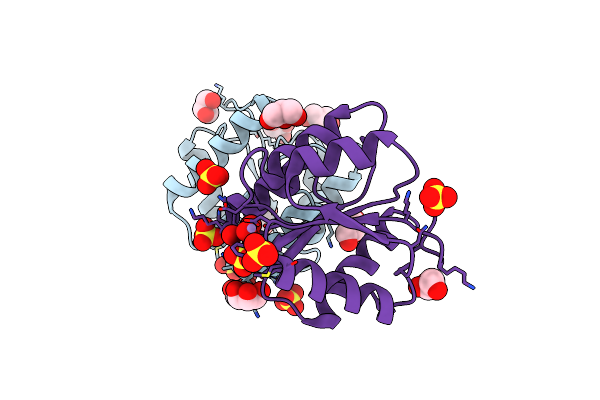 3RVS image