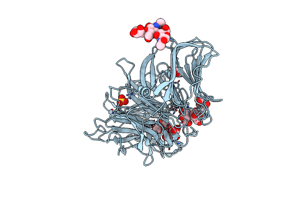 3RWK image