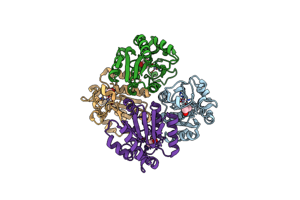 3S2S image