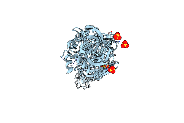 3S3P image