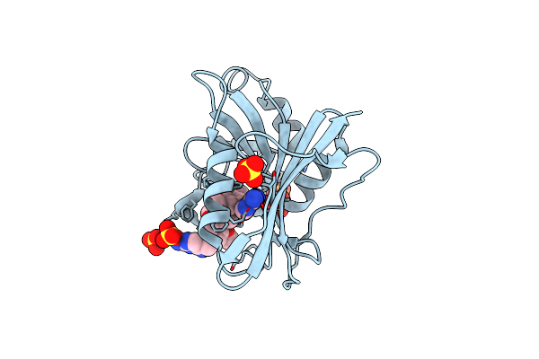 3S3V image