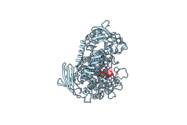 3S4D image