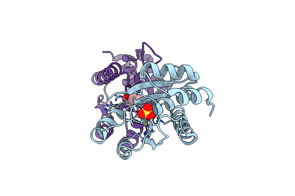 3S4O image