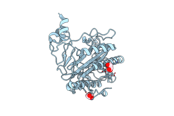 3S6B image