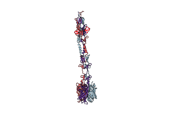 3S6Y image