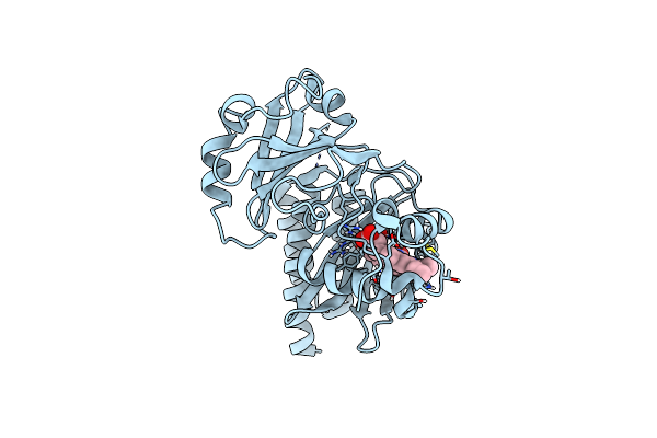 3S7N image