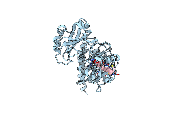 3S7P image