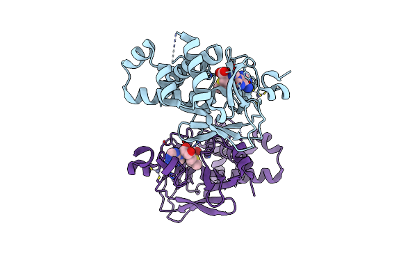 3S8P image