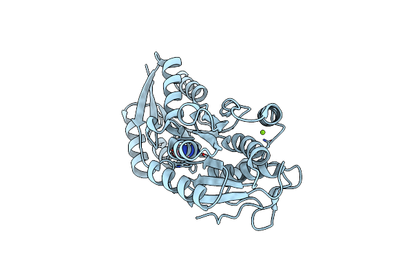 3S99 image