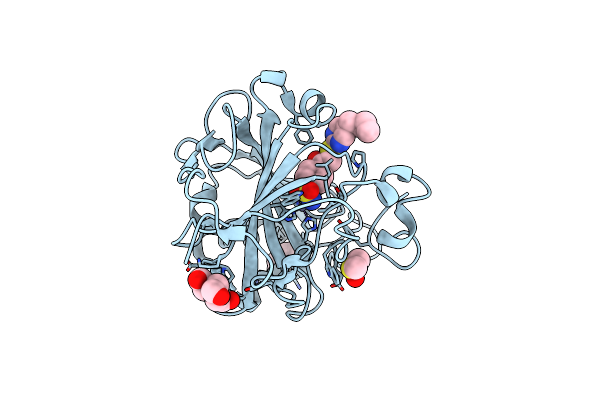 3SAP image