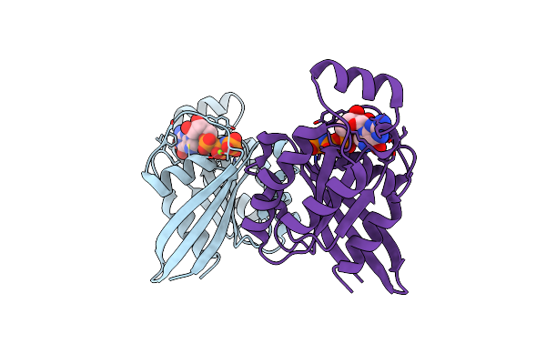 3SBD image