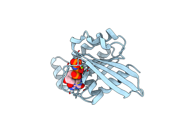 3SBE image