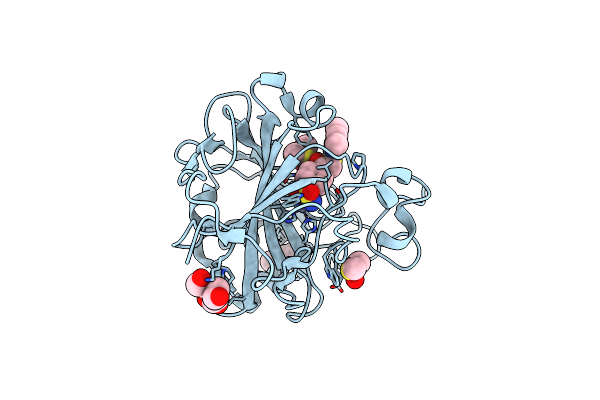 3SBH image