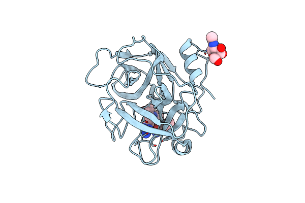 3SBK image