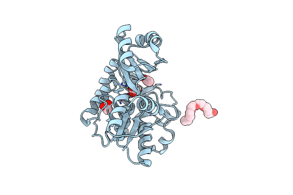 3SBM image
