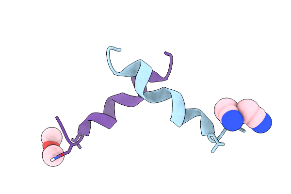 3SBN image