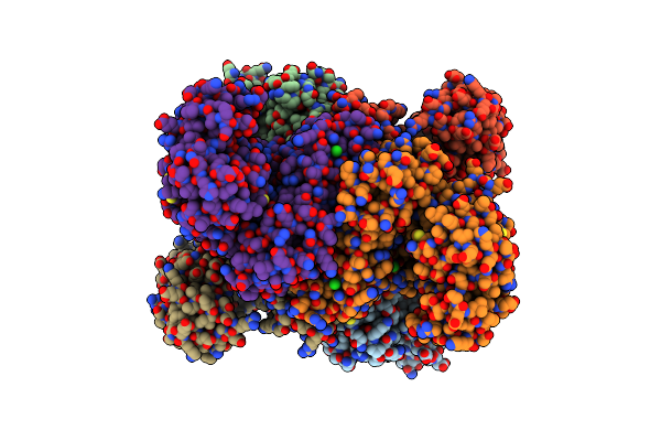 3SBO image