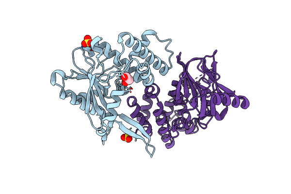 3SBT image
