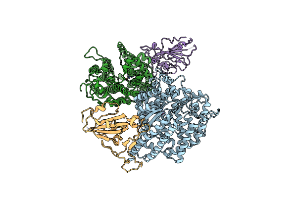 3SCI image