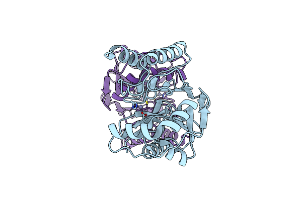 3SD9 image