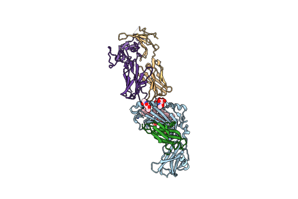 3SDA image