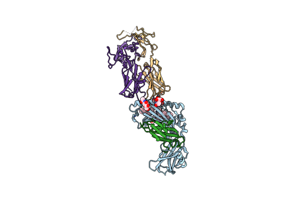 3SDC image