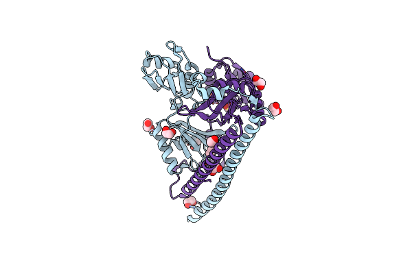 3SDE image