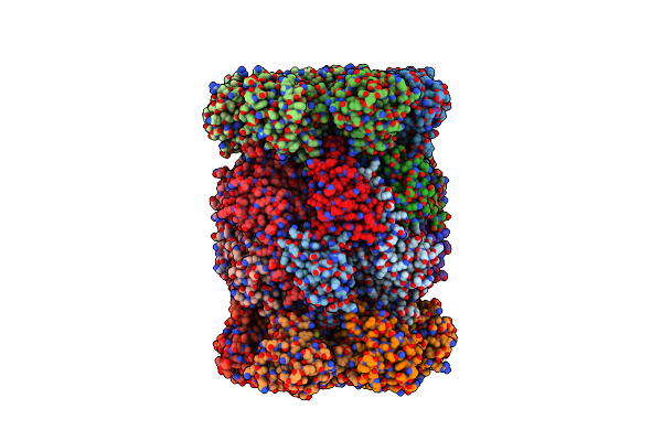 3SDI image