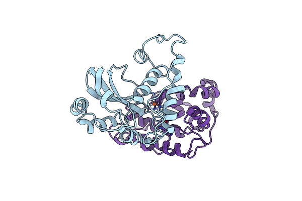 3SDP image
