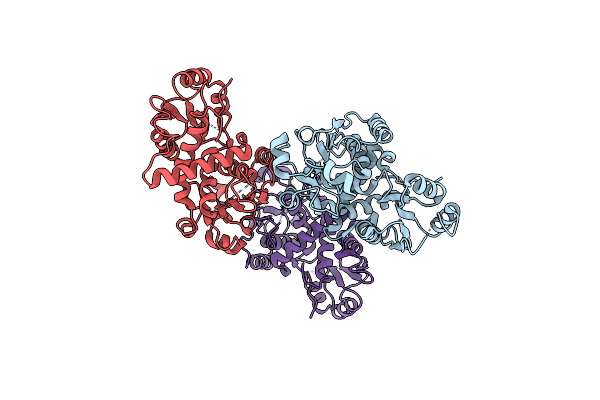 3SDS image