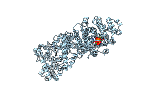 3SDV image