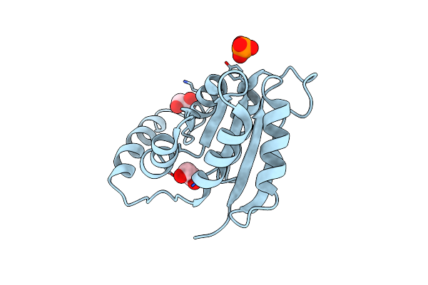 3SDW image