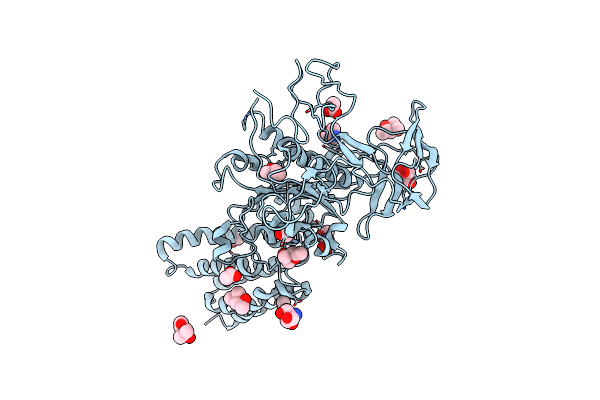 3SDZ image