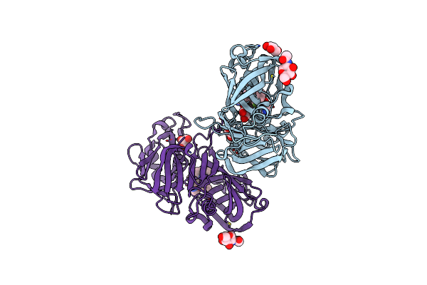 3SFC image